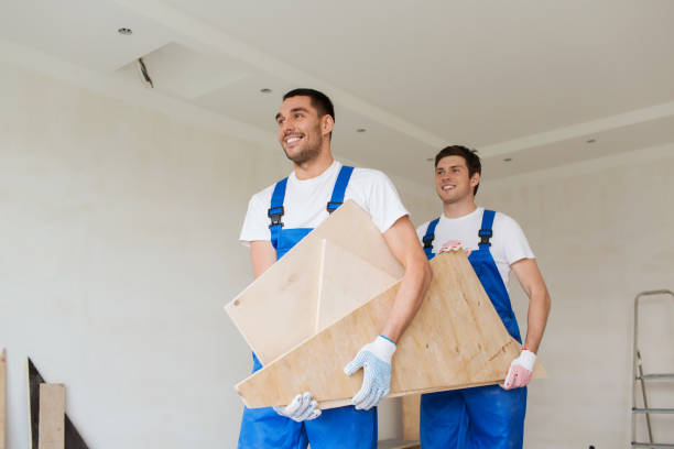Best Carpet Removal and Disposal  in Rice Lake, WI